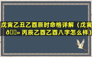 戊寅乙丑乙酉辰时命格详解（戊寅 🌻 丙辰乙酉乙酉八字怎么样）